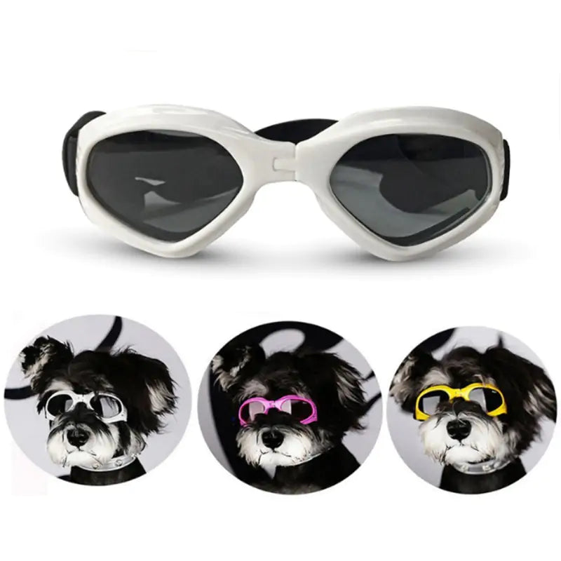 Rynx | Dog Sunglasses