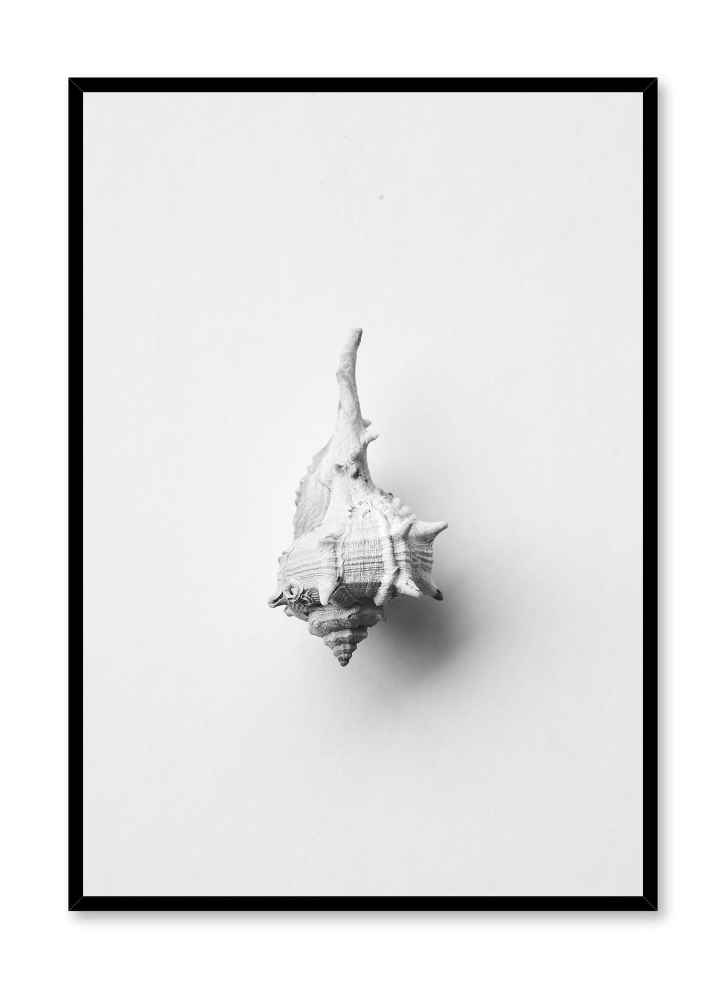 Rynx | Horse Conch, Poster