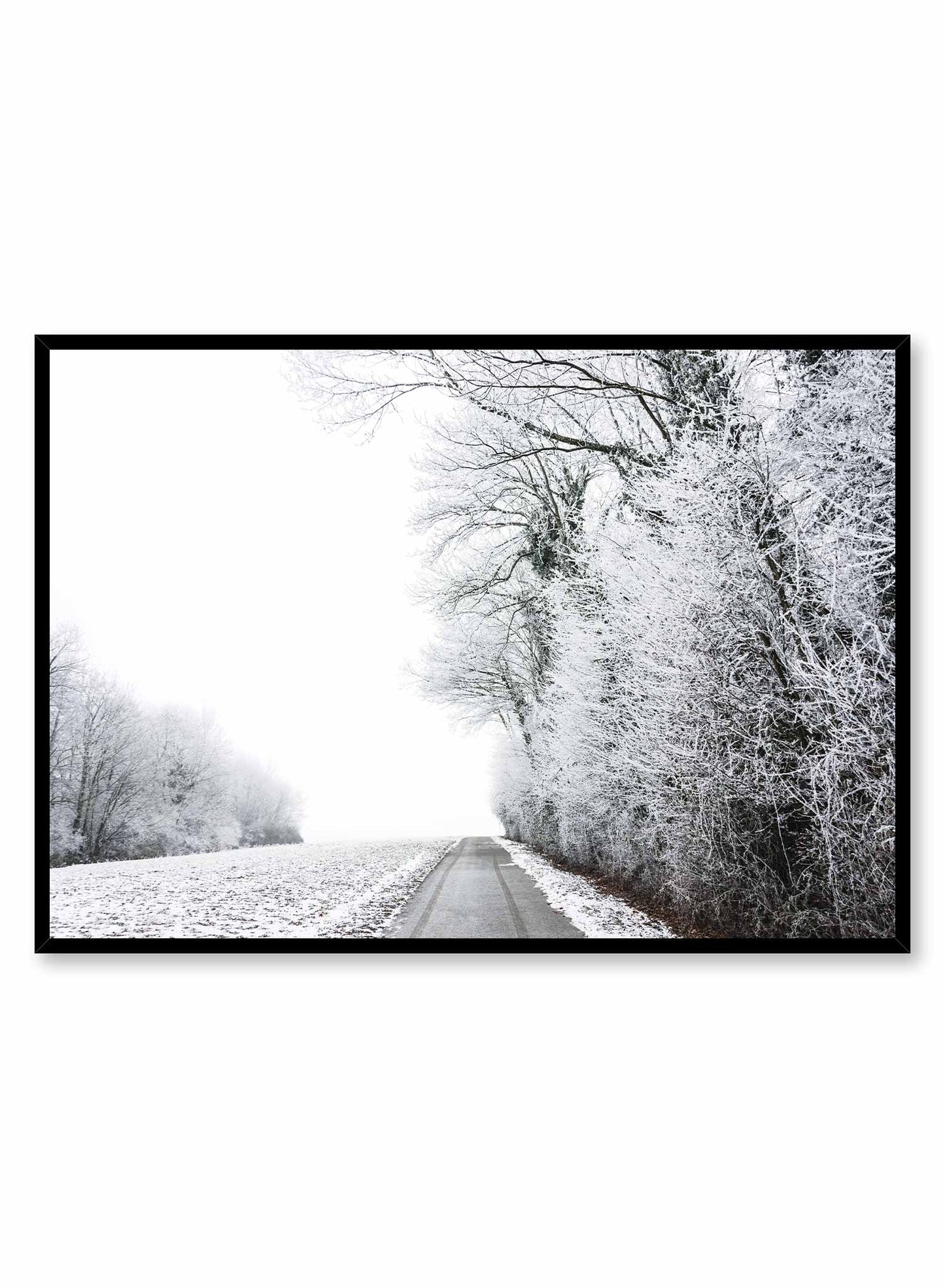 Rynx | Canadian Landscape, Poster
