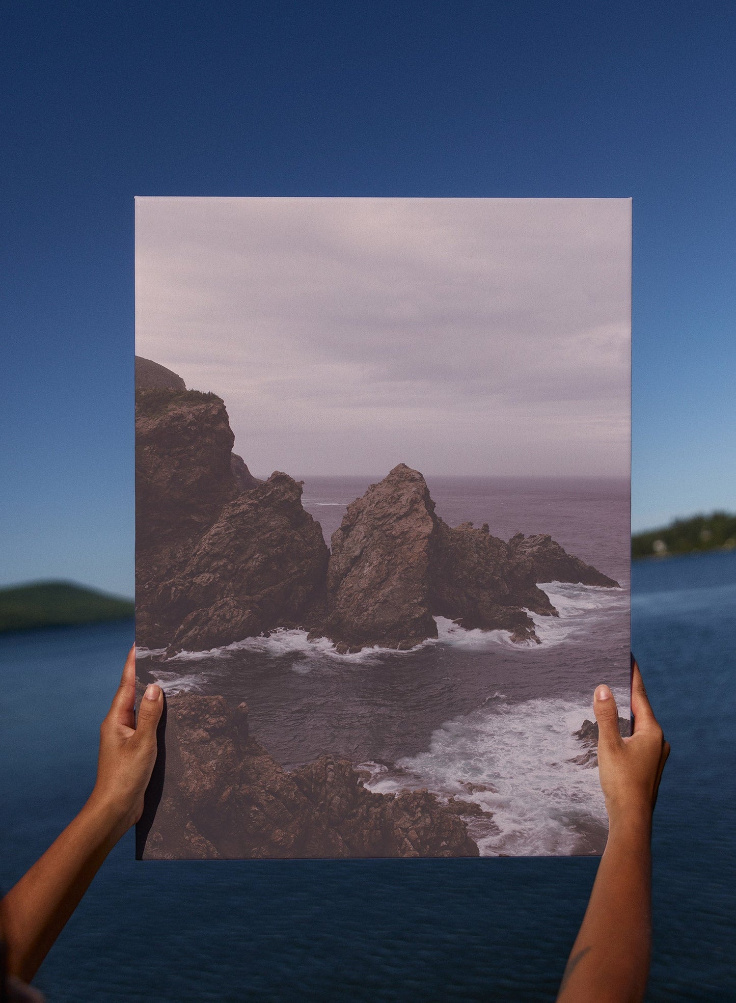 Rynx | Newfoundland Bound, Canvas