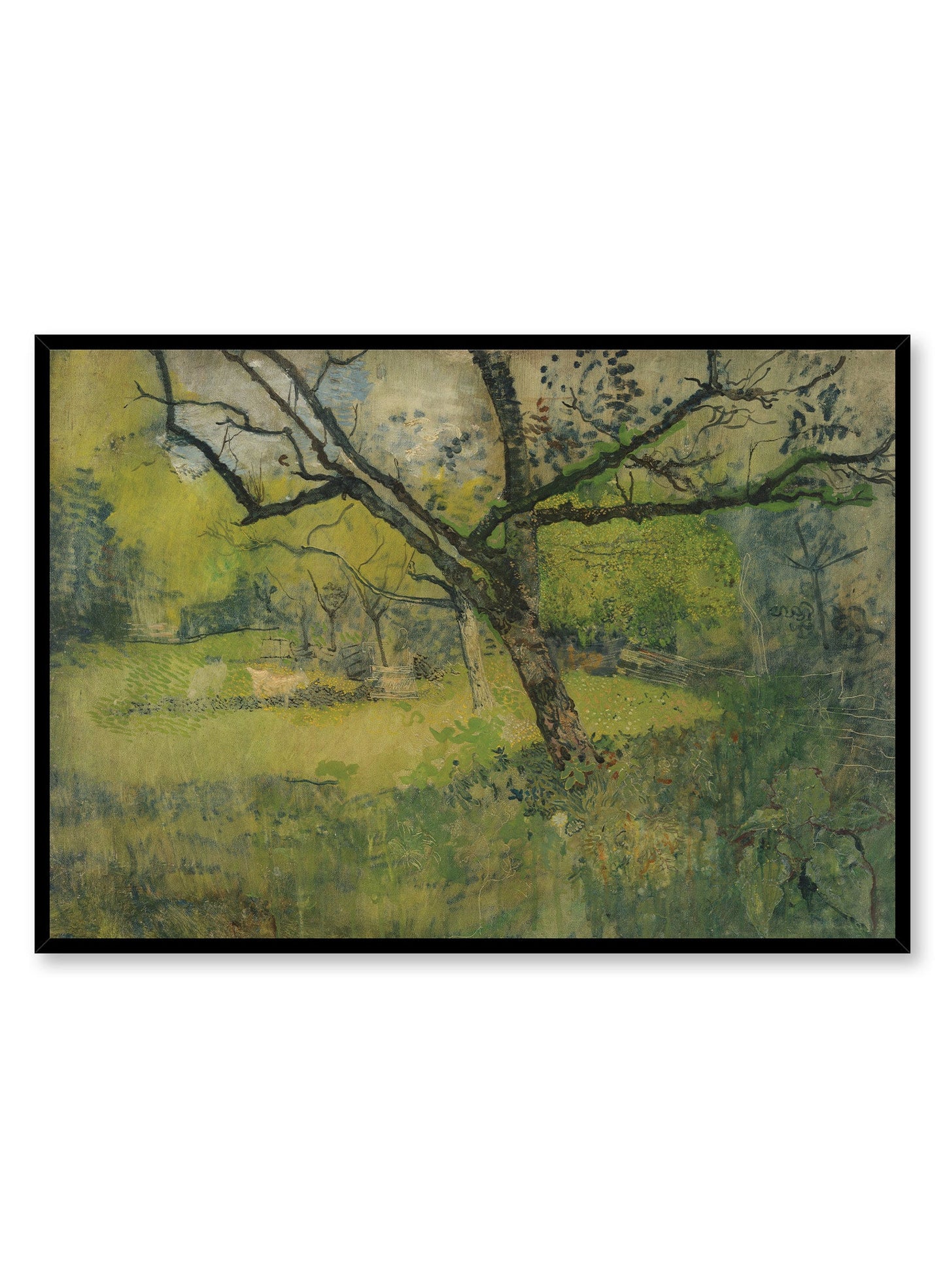 Rynx | Sunny Day Clearing, Poster