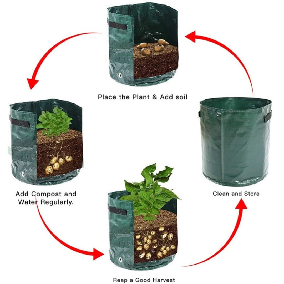 Rynx | Minigarden - Vegetables And Plant Grow Bags
