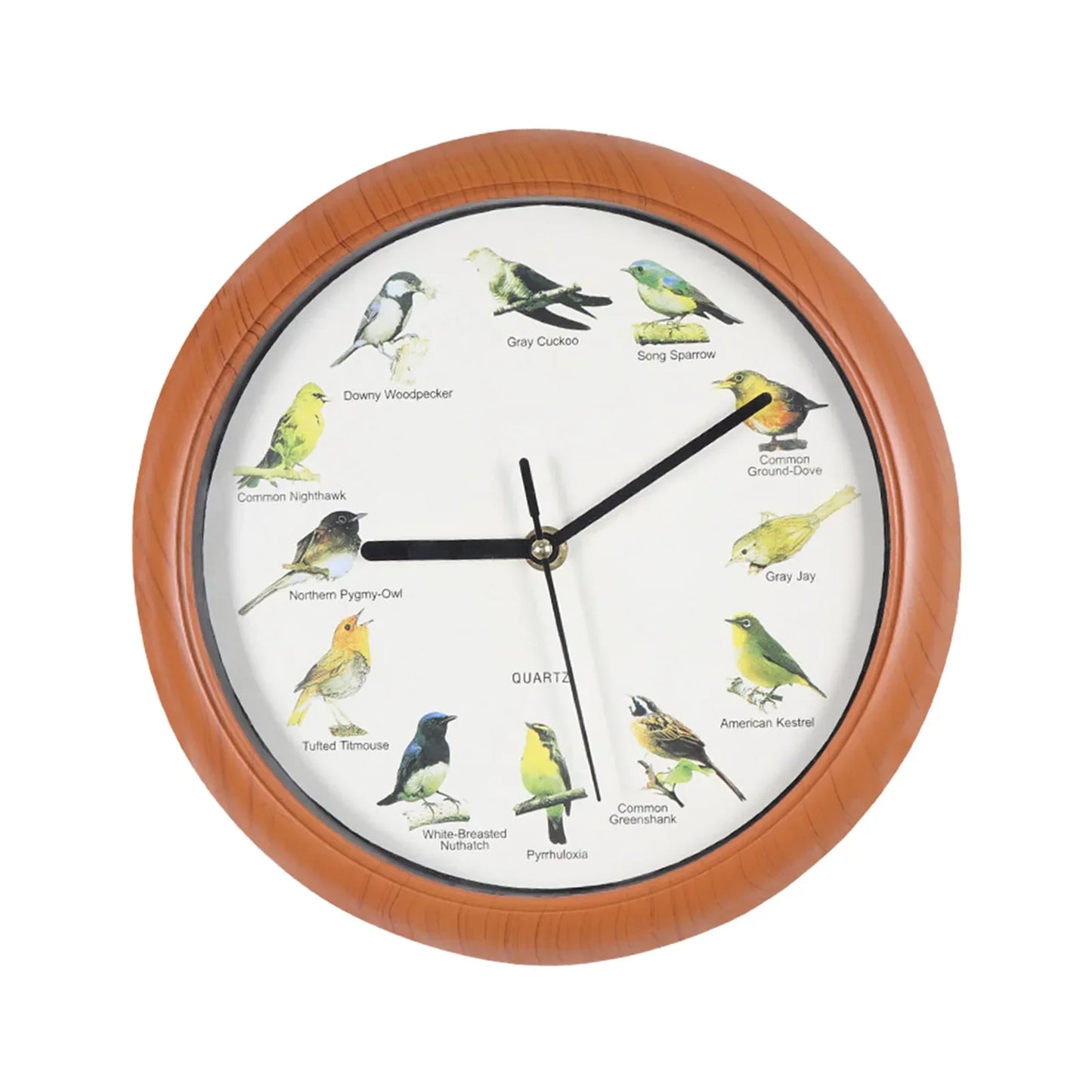 Rynx | Wall Clock - Decorative Timepiece with Bird Sounds - Unique Atmosphere