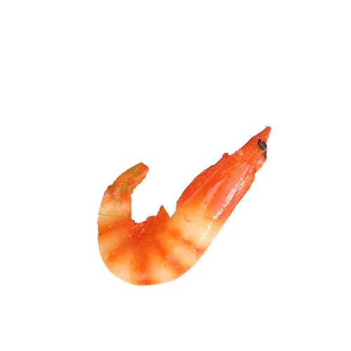Rynx | Realistic PVC Shrimp Sculpture for Home Decor and Creative Play