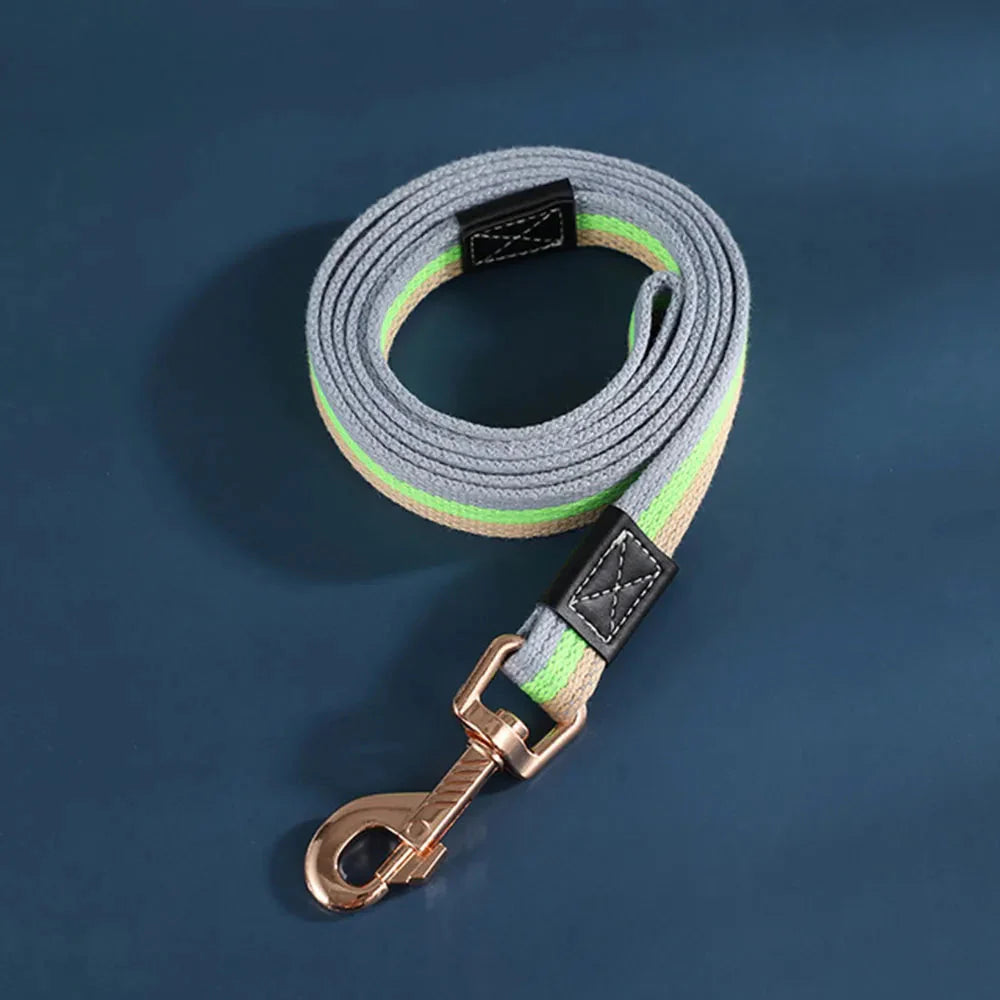 Rynx | Training Leash