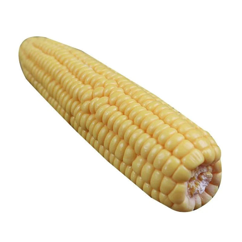 Rynx | Life-like artificial corn cob display model for restaurants, hotels, and kitchens