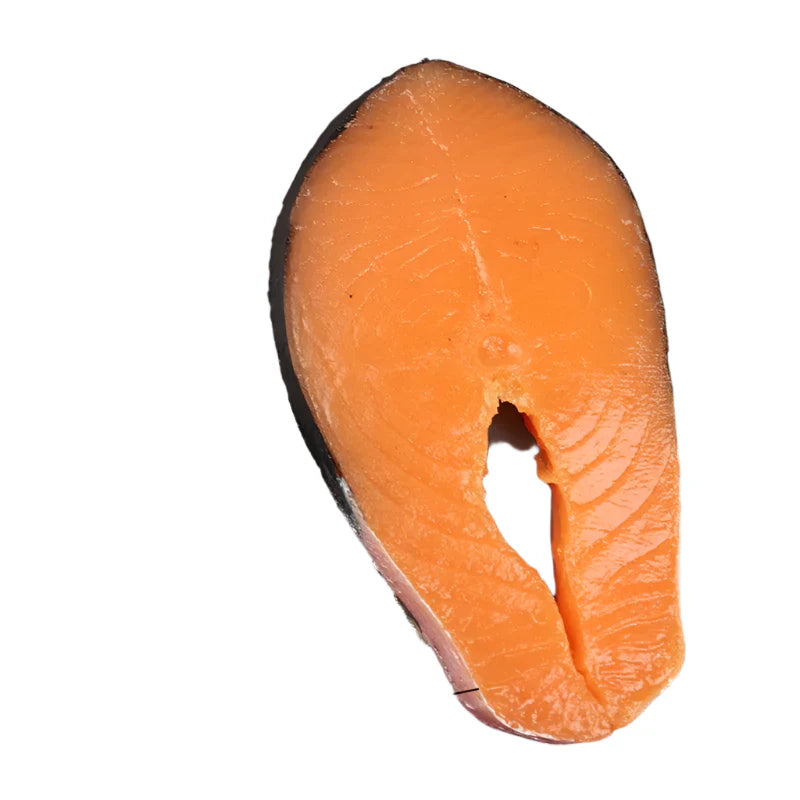 Rynx | Life-Size Sushi Replica Collection - Salmon and Tuna Models for Home Decoration and Photography