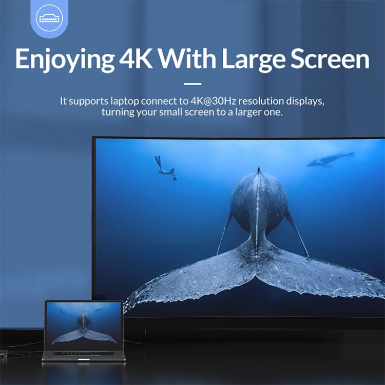 Rynx | ORICO WB-11P 10 in 1 Type-C Transparent HUB