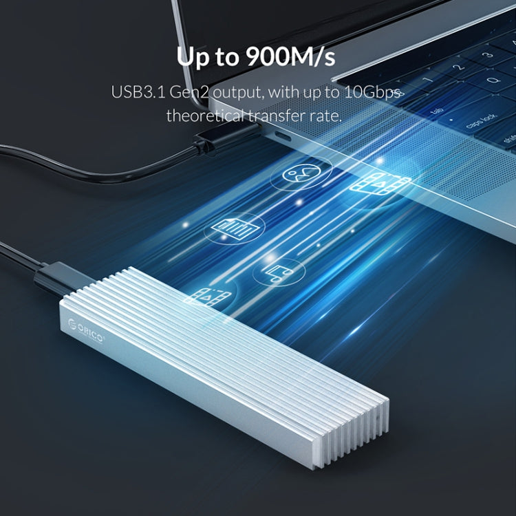 Rynx | ORICO M2PJ NVME M.2 SSD enclosure (Silver)