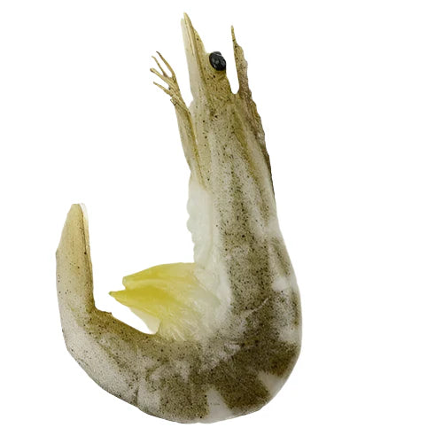 Rynx | Realistic PVC Shrimp Sculpture for Home Decor and Creative Play