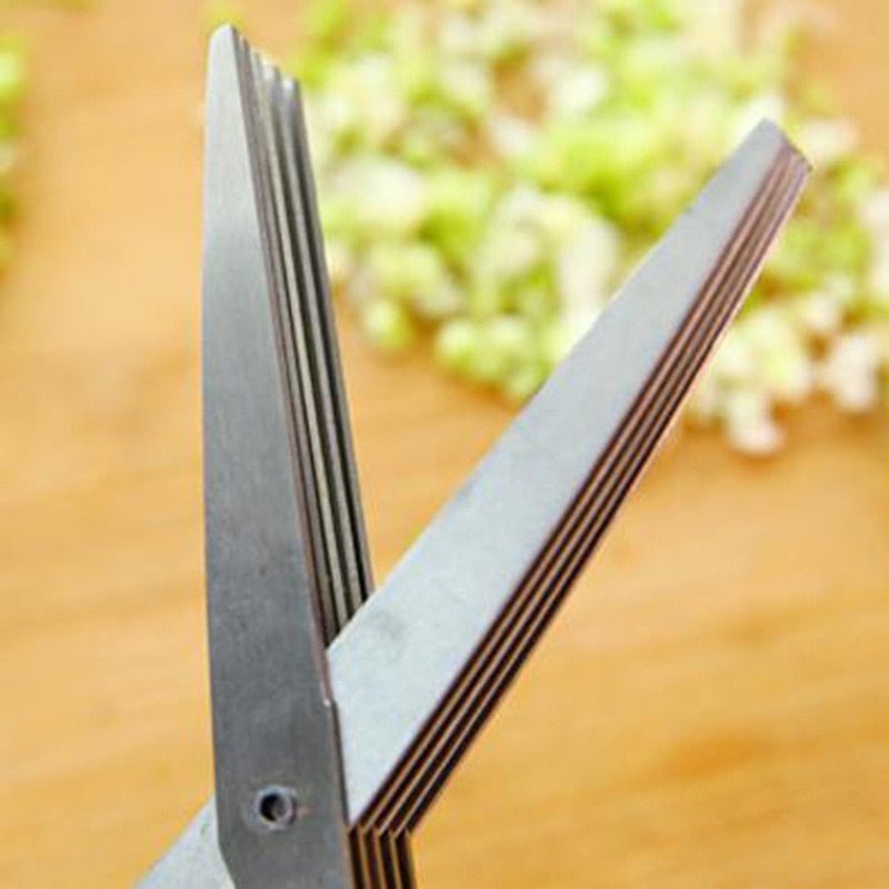 Rynx | 5-Ring-Multi-Function-Kitchen-Herb-Cutter