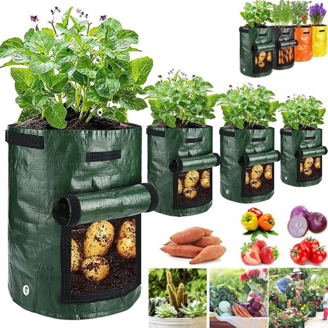 Rynx | Minigarden - Vegetables And Plant Grow Bags