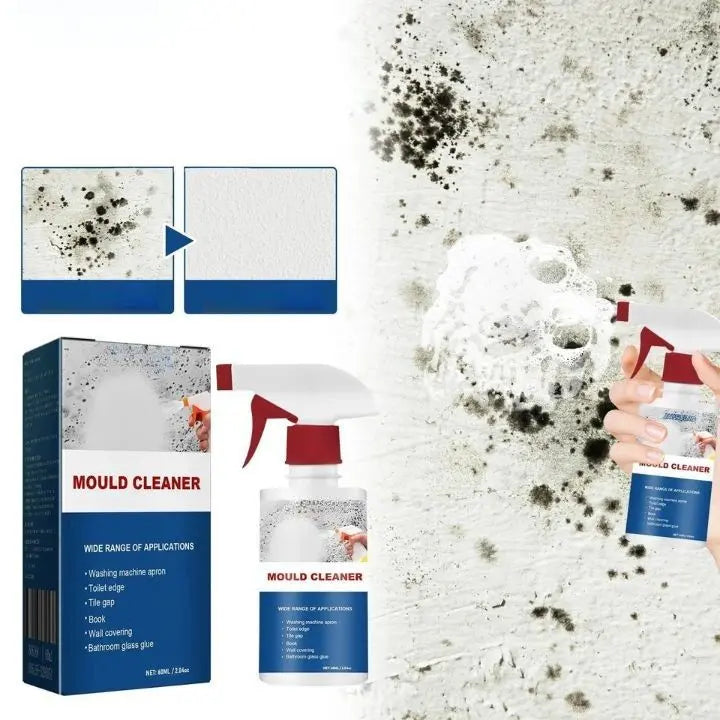 Rynx | Mold Remover Foam Spray