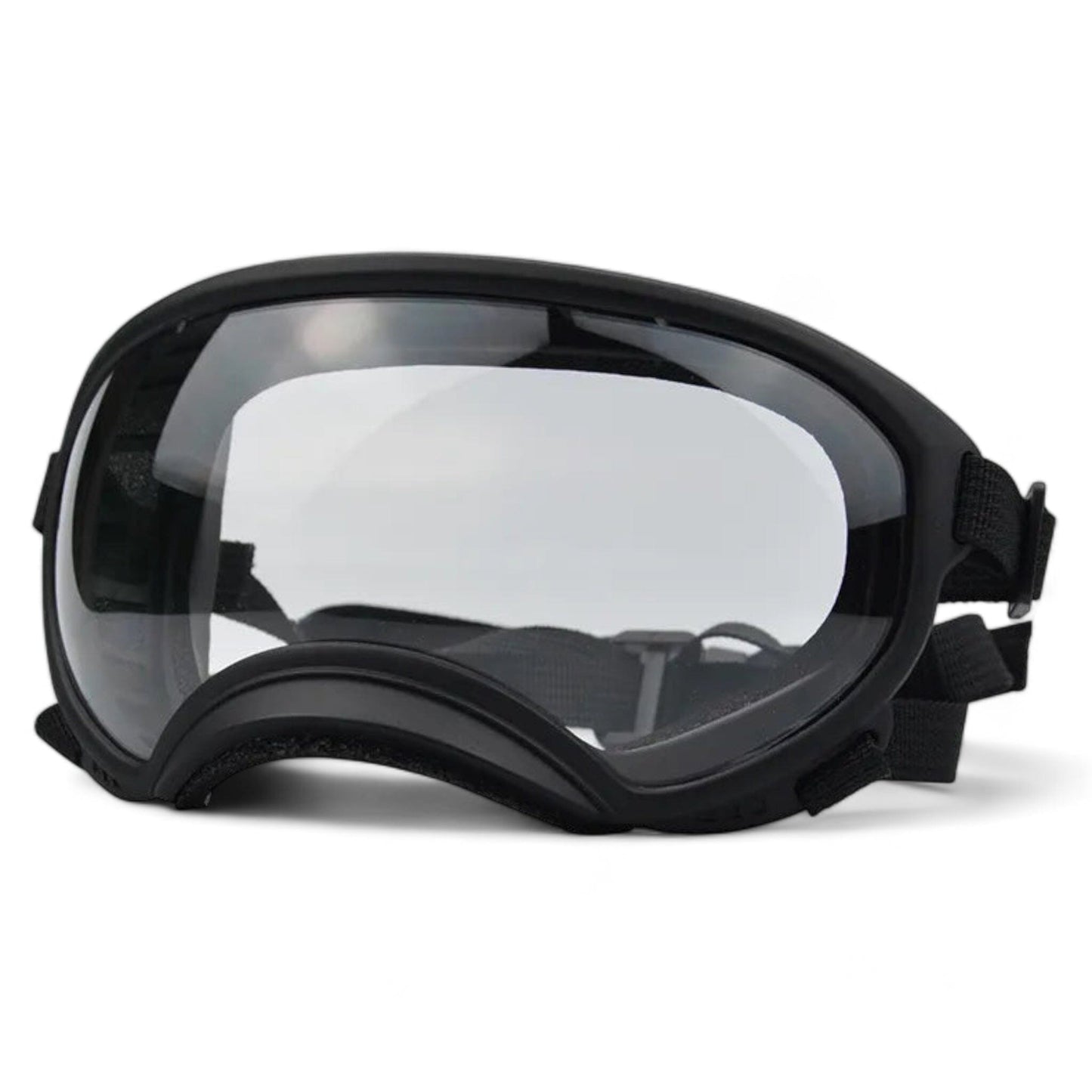 Rynx | Pup sunglasses