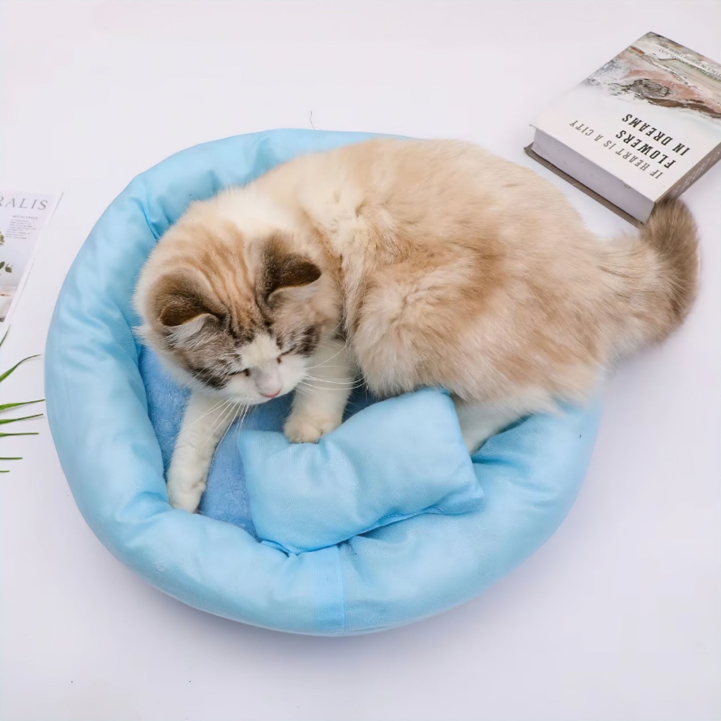 Rynx | Pet Bed Nest