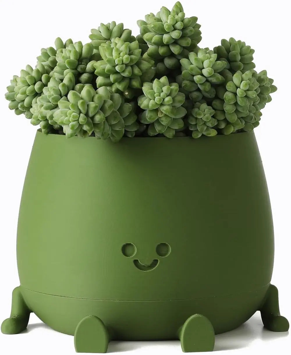 Rynx | Self-watering Flower Pot – Cute face with flexible legs!
