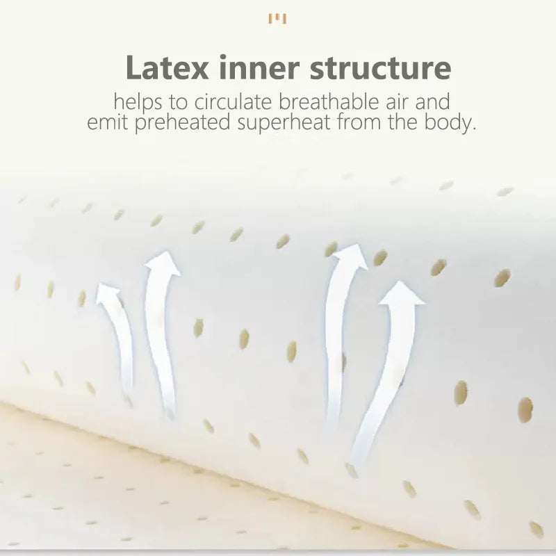 Rynx | Ultra Cool Latex Washable Comfy Reading Back Pillow