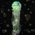 Rynx | Jellyfish LED Night Light