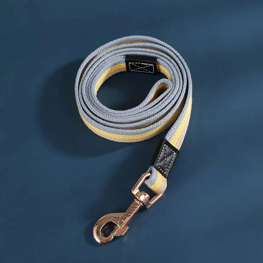 Rynx | Training Leash