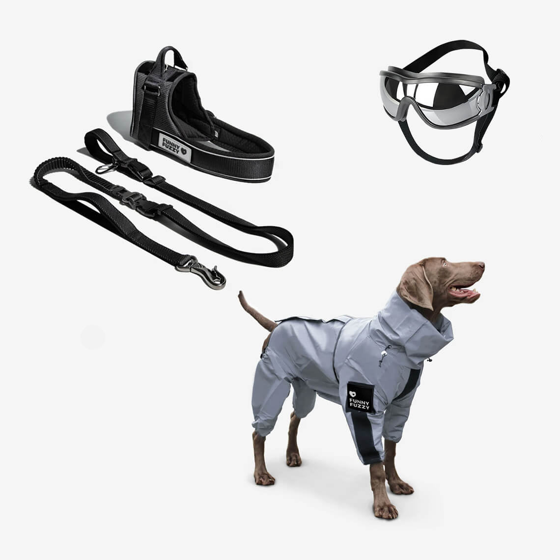 RYNX | Reflective All-Weather Waterproof Cool Dog Accessory Raincoat Swag & Safe Dog Walking Set Black