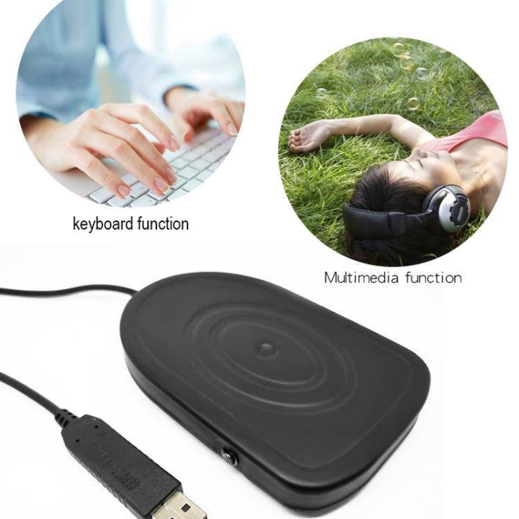 Rynx | Pcsensor USB foot pedal control switch keyboard adapter for computer, model: FS2016