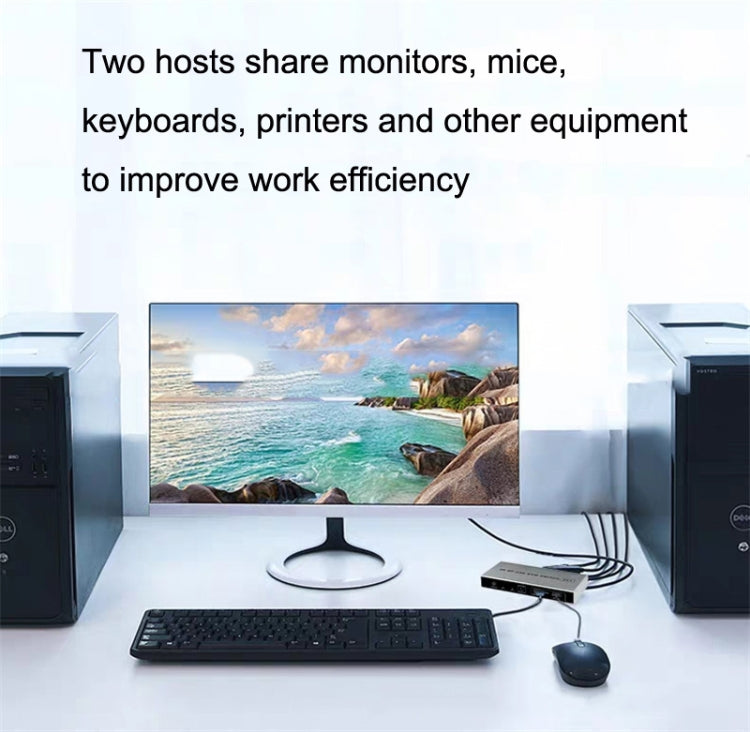 Rynx | 4K KYSW59 60HZ DP USB KVM Switch 2-in-1 Computer Sharing Device