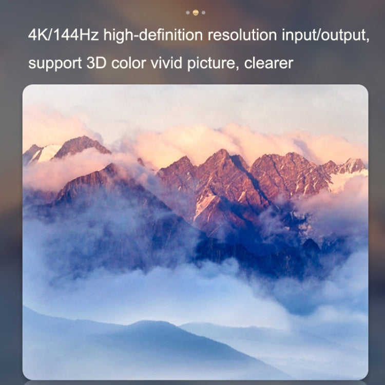 Rynx | 8K 60HZ 1.4V 2 In 1 Out DP Bidirectional Switcher (Gray)