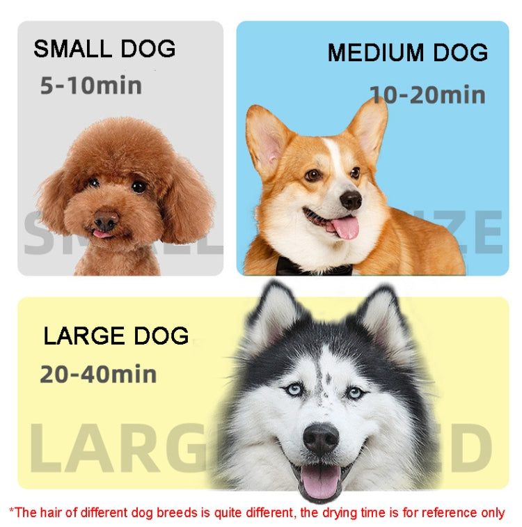 2100W Dog Hair Dryer Stepless Speed Hair Dryer Pet Water Blower 220V AU Plug (Black and Blue)