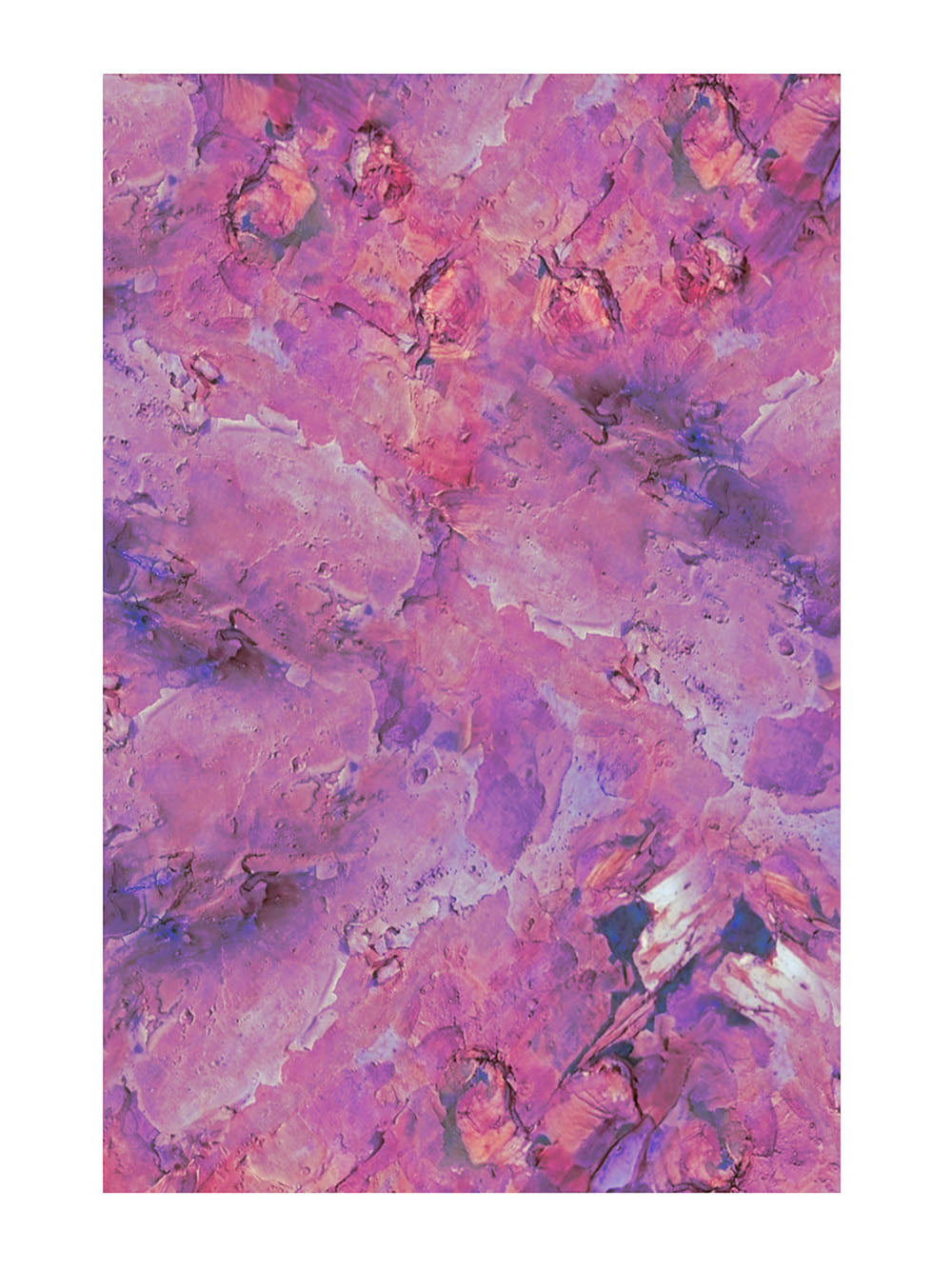 Rynx | Abstract texture of pine 1