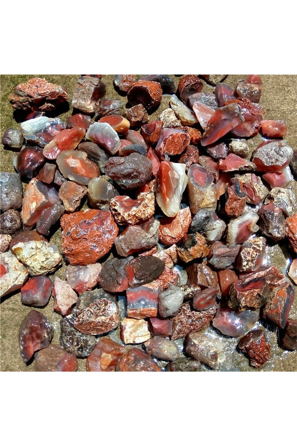 Rynx | Carnelian Rough Stone