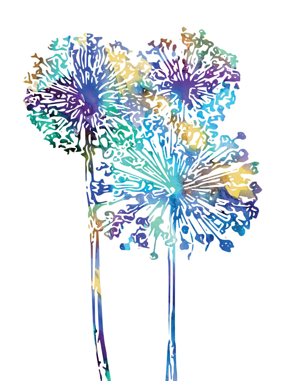 Rynx | Allium Blue