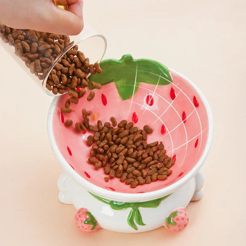 Rynx | Slanted elevated ceramic cat bowl