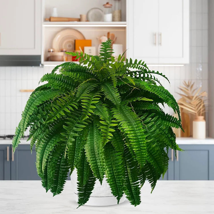RYNX | Resilient, Life-Like Artificial Boston Fern