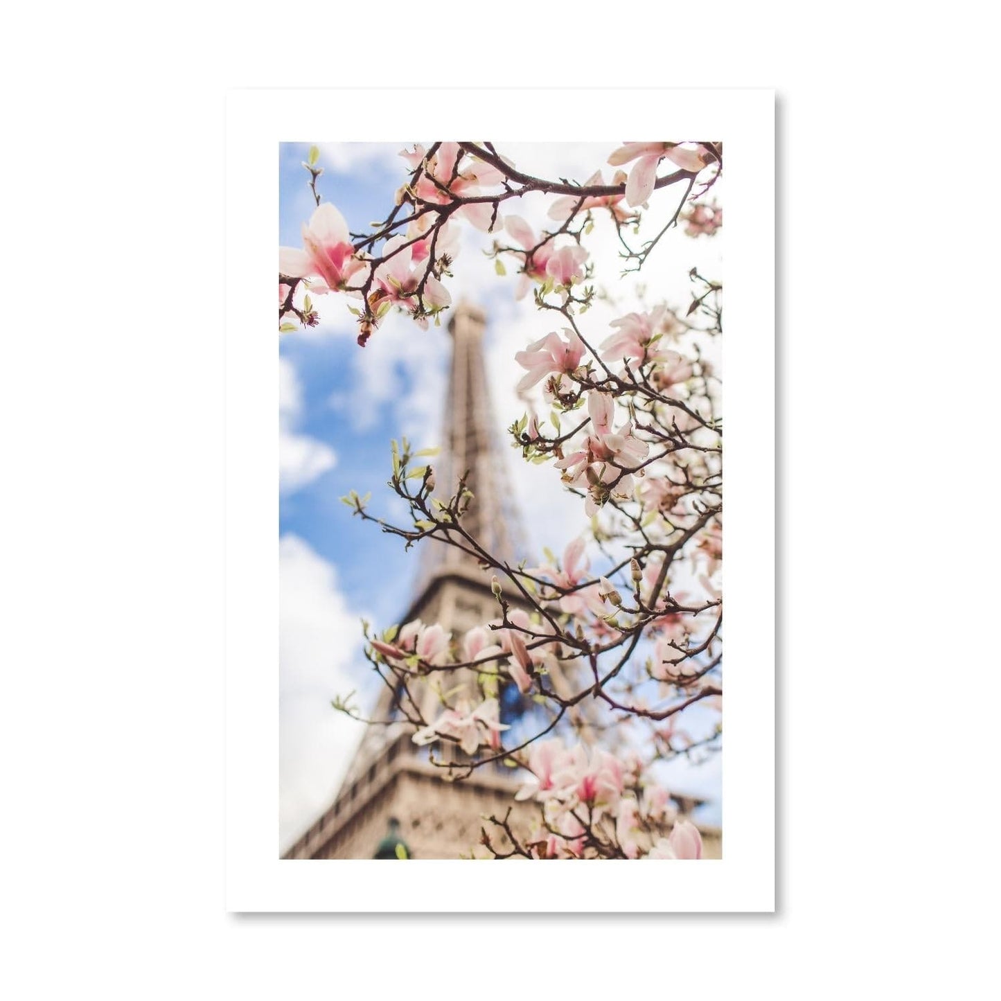 Rynx | Blossom Paris Print