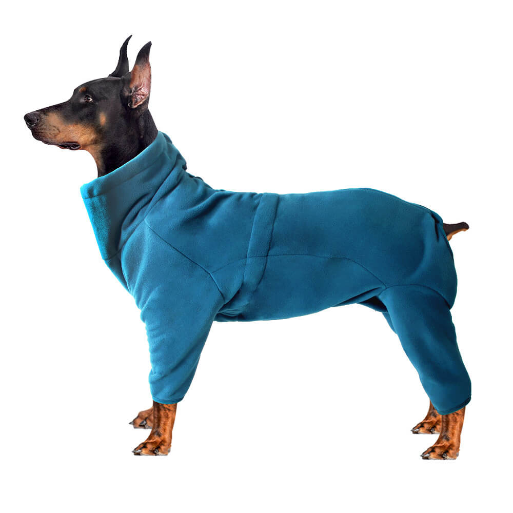 RYNX | Dog Suit – Cozy and Full-Body Warmth for Cold Weather Turquoise