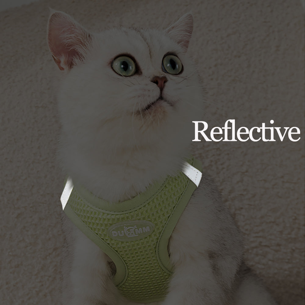 Rynx | Reflective Mesh Cat & Small Dog Harness Leash Set