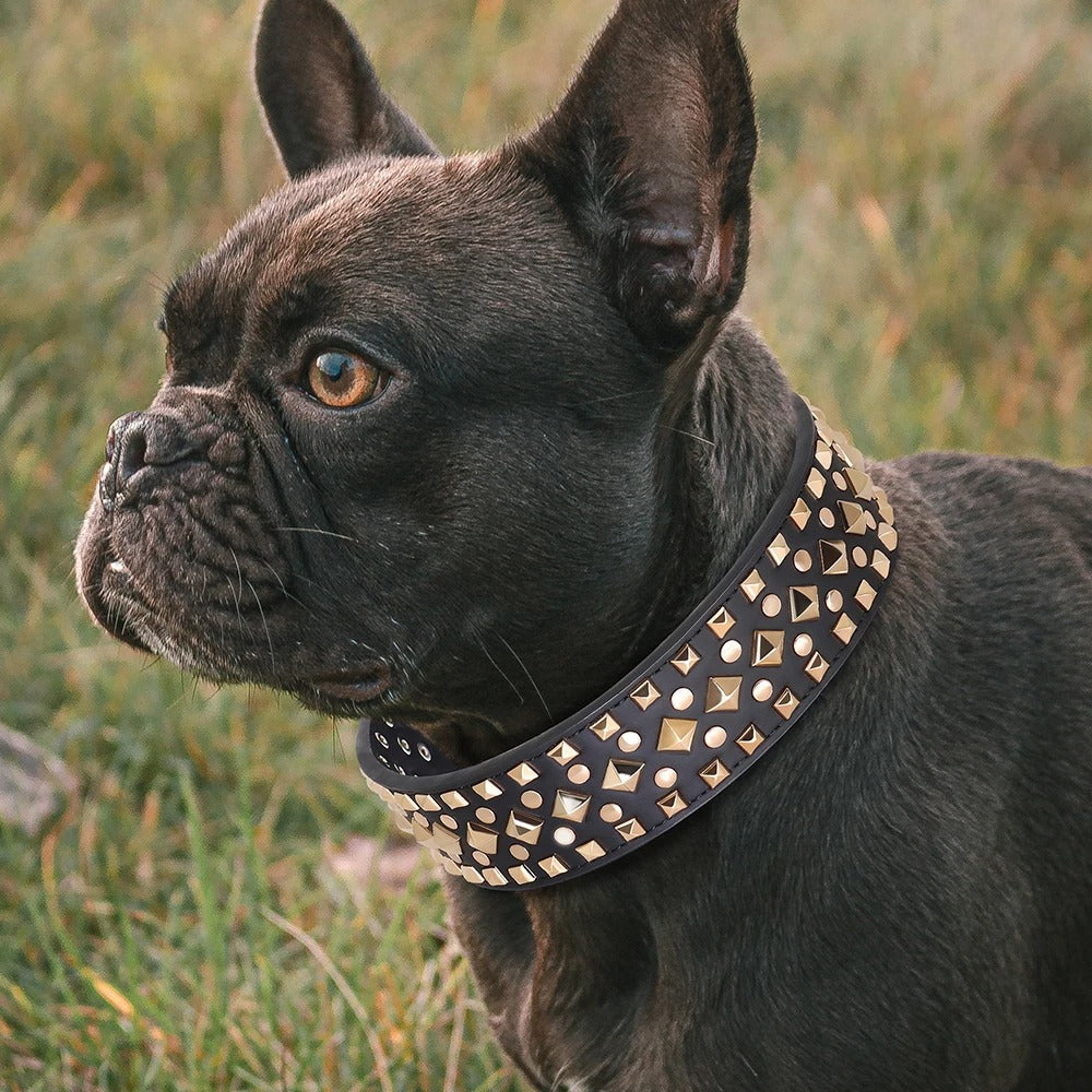 Rynx | 2" Wide Spiked Leather Dog Collar Adjustable for Pitbull, Bulldog and Large Dogs