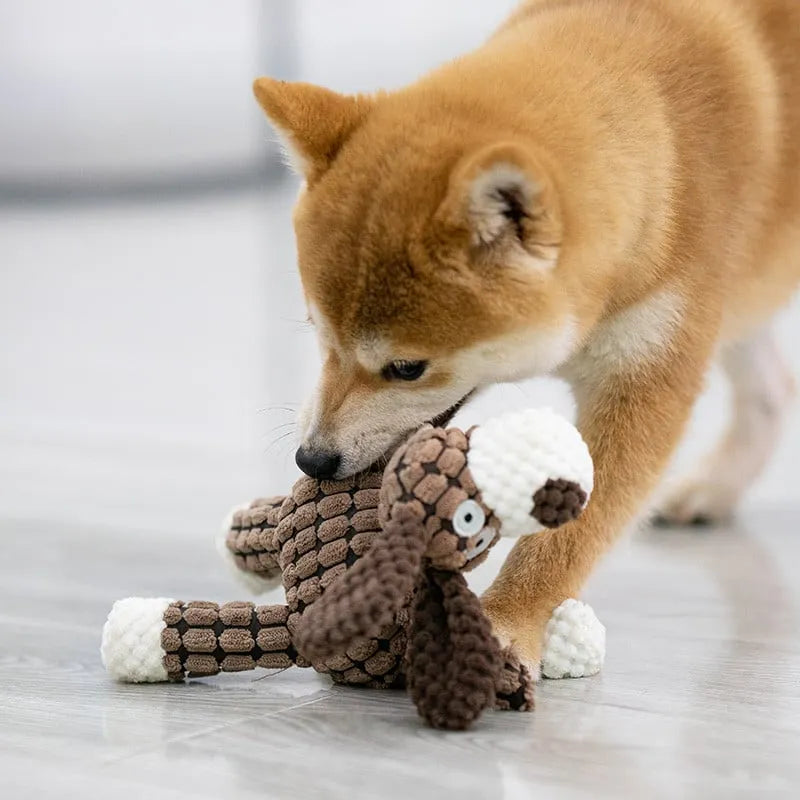 RYNX | ⏳Last Day For ⏳Squeaky Plush Toy For Dogs