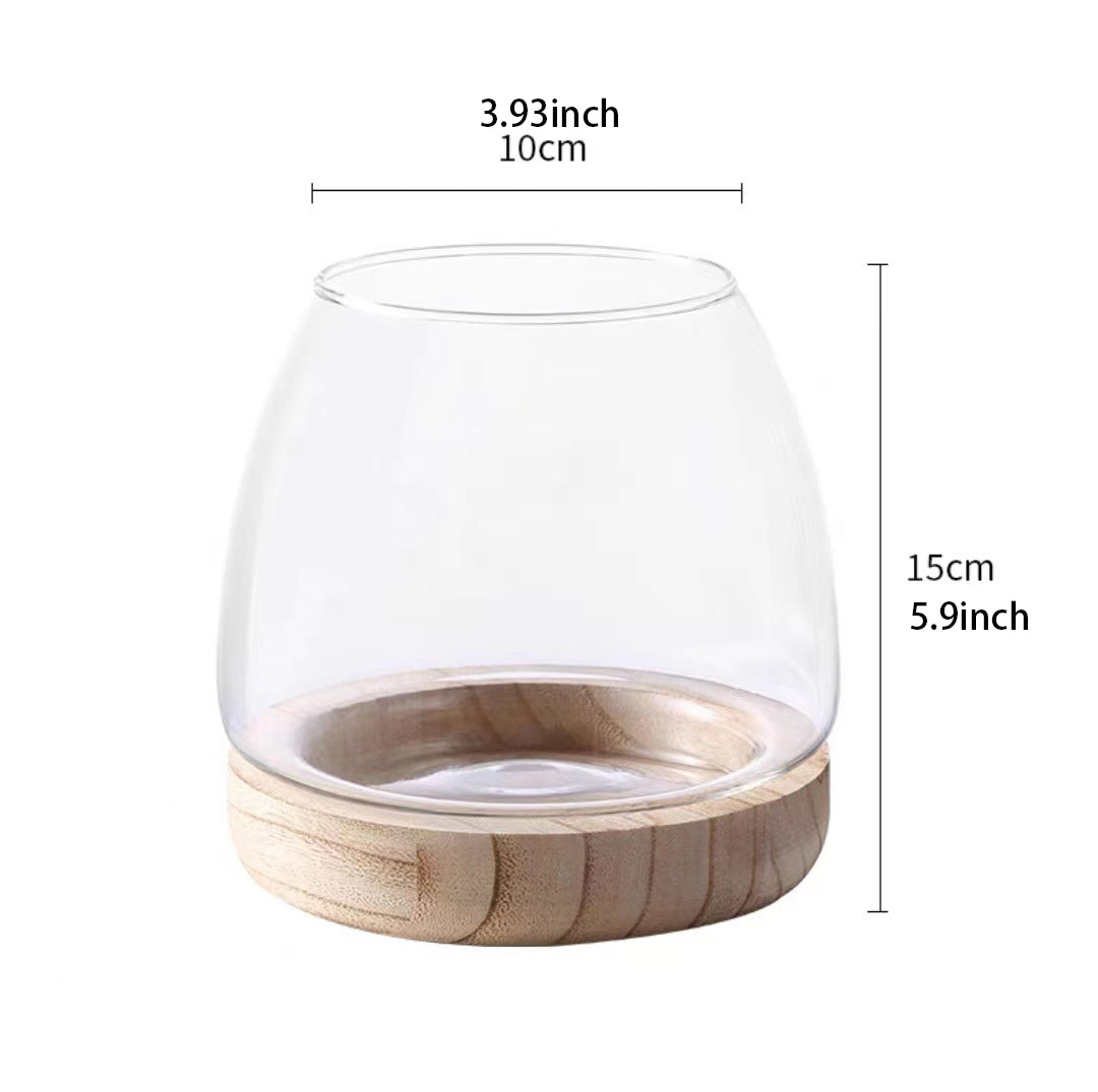 Rynx | Elegant Glass Desktop Fish Tank