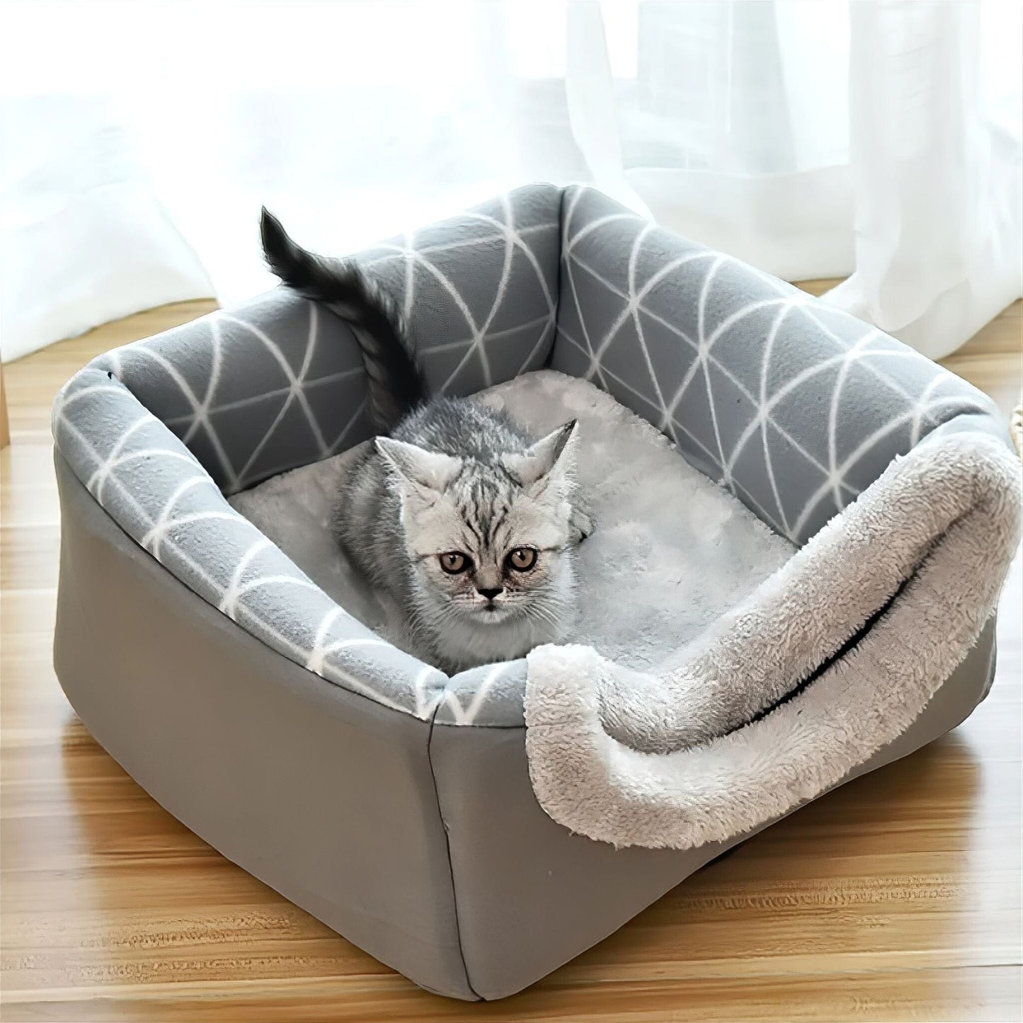 Rynx | Pet Villa