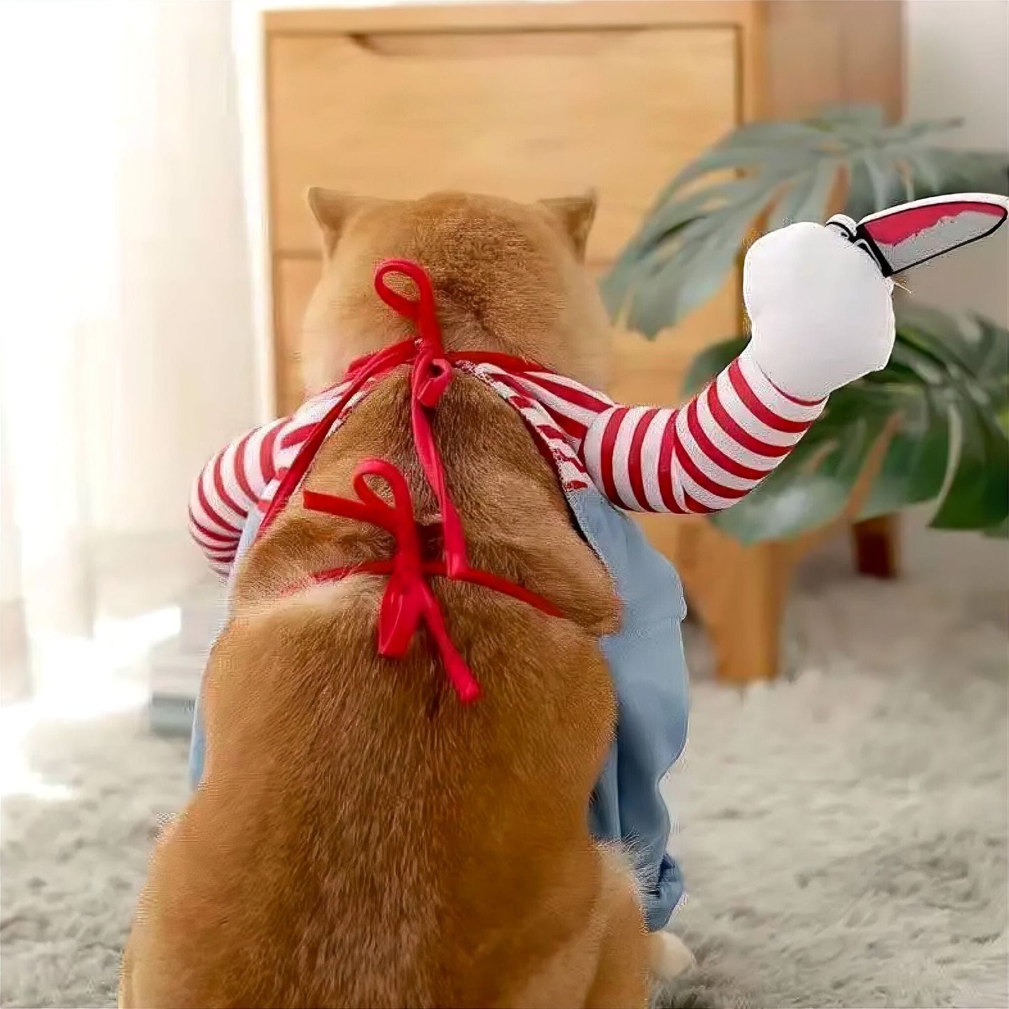 Rynx | Pet Costume