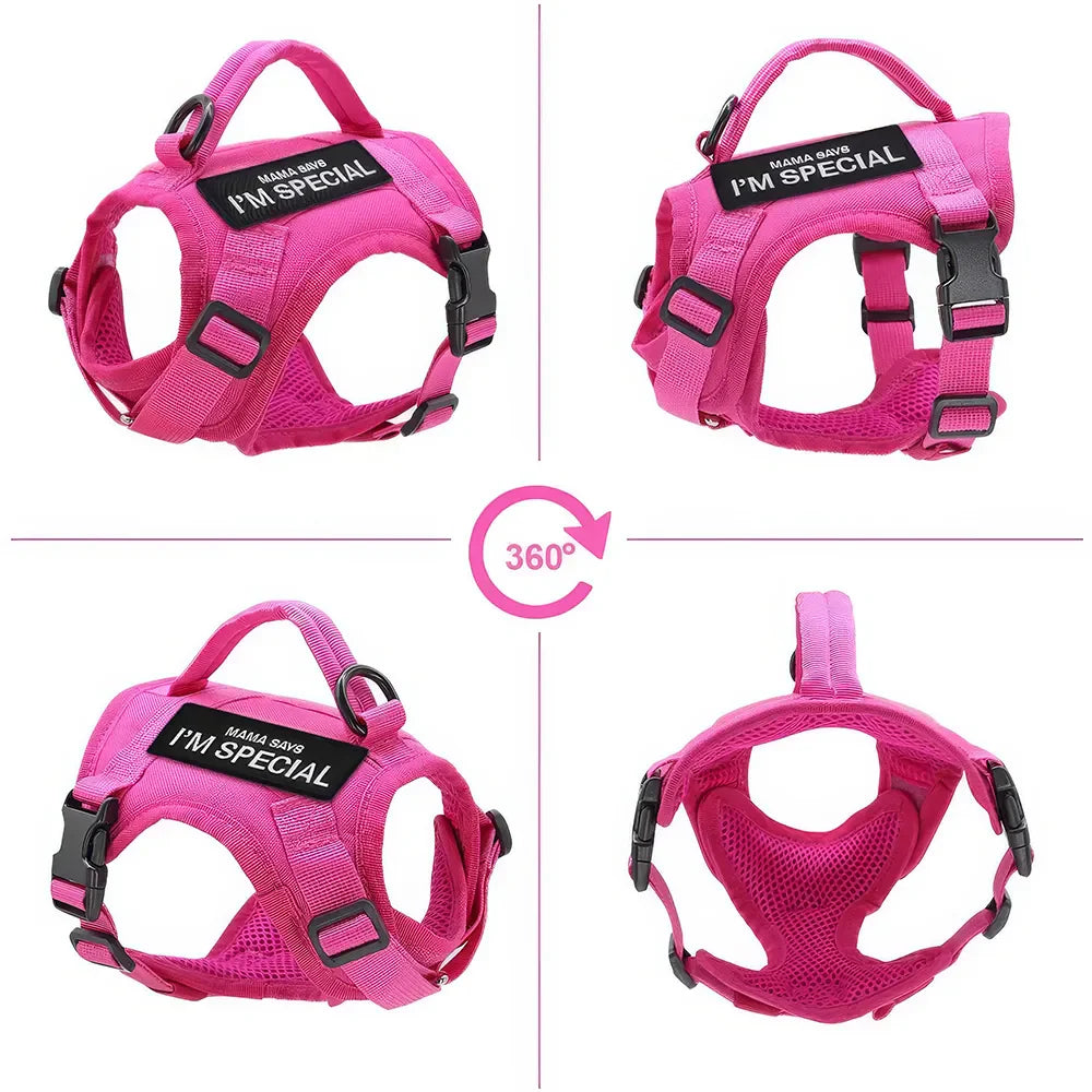 Rynx | Nylon Cat Harness Vest