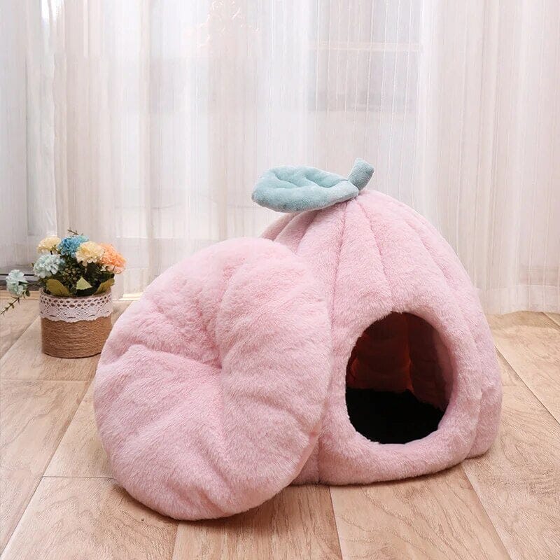 Rynx | feline fortress