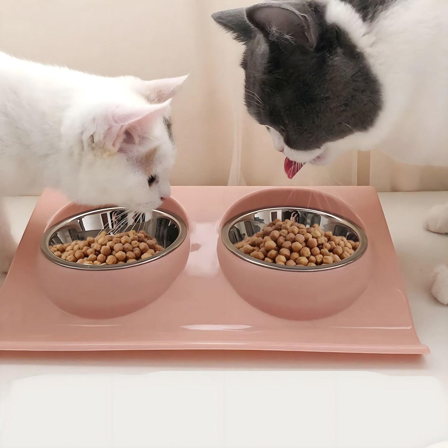 Rynx | Dinner Bowl