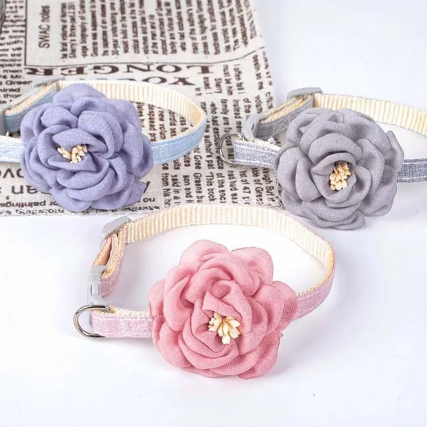 Rynx | Paws Pet Collar