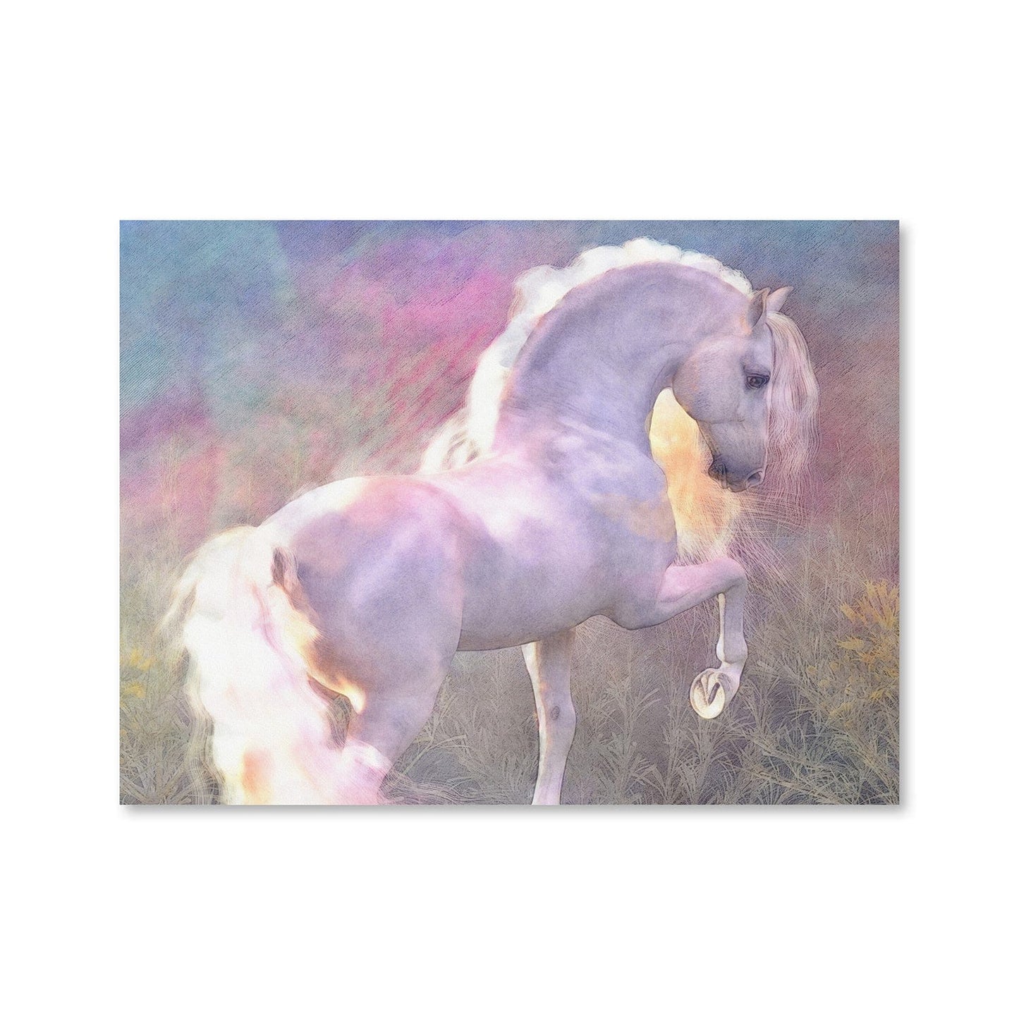 Rynx | Evenglow Canvas