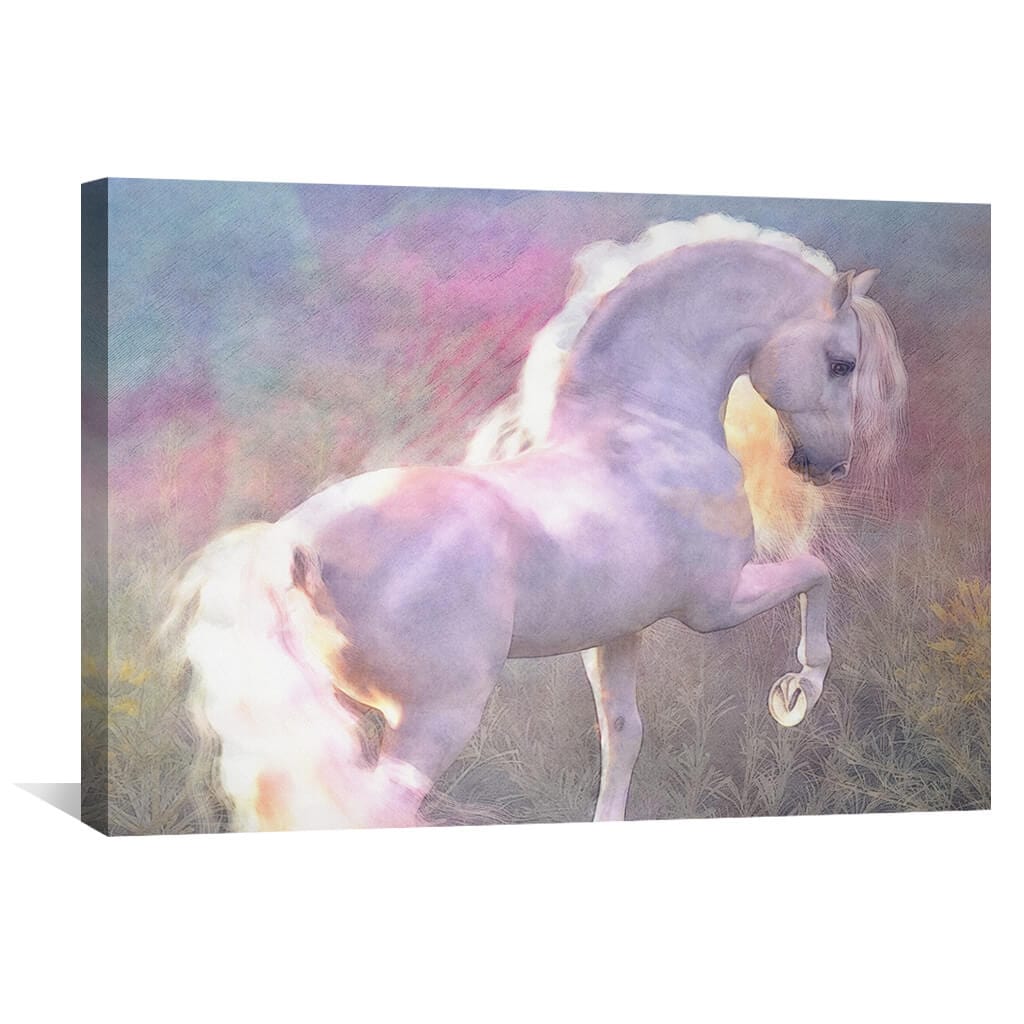 Rynx | Evenglow Canvas