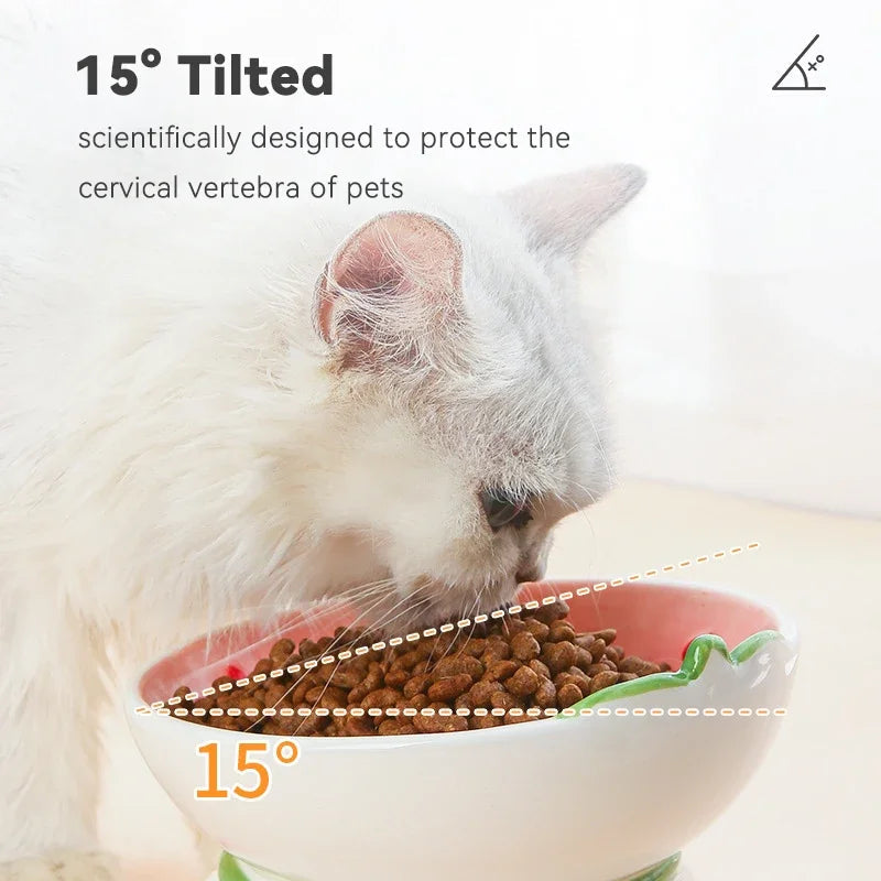 Rynx | Slanted elevated ceramic cat bowl