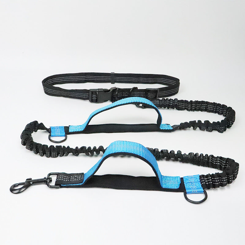 RYNX | Hands Free Dog Leash With Safety Seat Belt Lake Blue