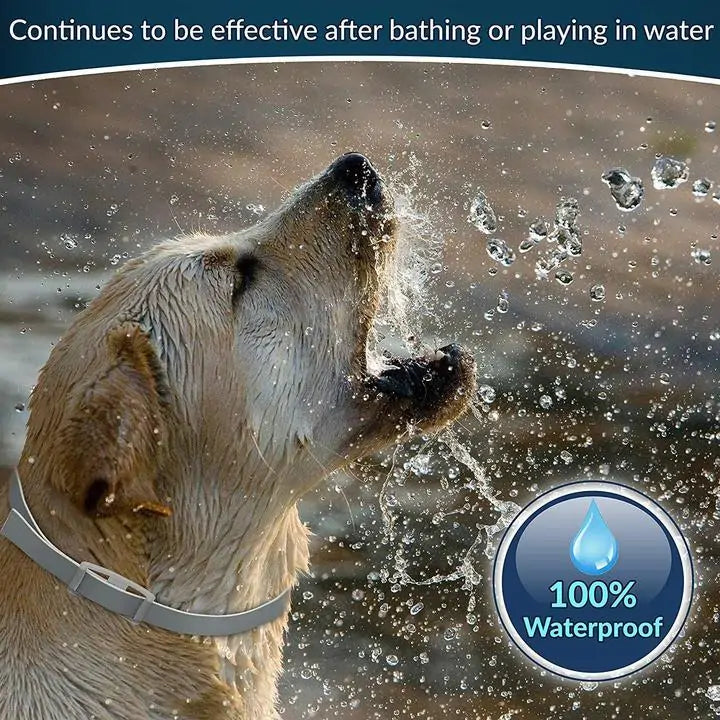 Rynx | Pro Guard Flea and Tick Pet Collar